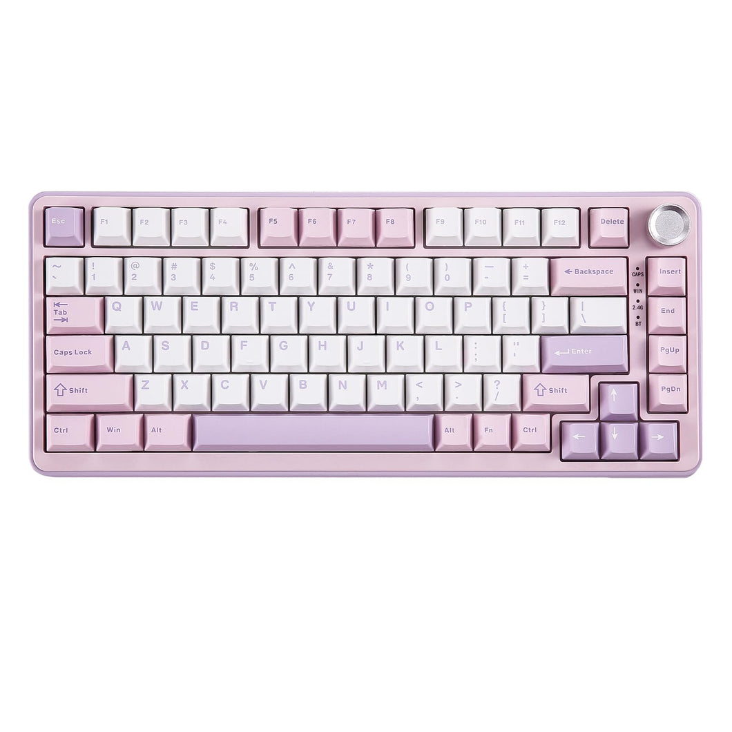 YUNZII B75 PRO Wireless Mechanical Keyboard,75% Gaming Keyboard Gasket Hot Swap Custom Keyboard with Knob,Pre-lubed Switches RGB,Bluetooth/Type-C/2.4G Creamy Keyboard(Cocoa Cream V2 Switch,Purple)